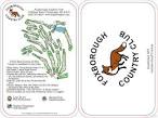 Foxborough Country Club - Course Profile | NEPGA