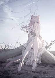 Hd Anime Cat Girl Wallpapers Peakpx