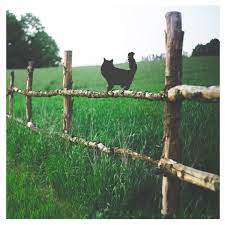 Persian Cat Fence Topper Garden Decor