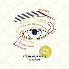 diagram for eye makeup with names