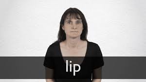 lip definition and meaning collins