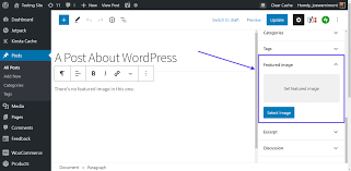 wordpress featured image not showing
