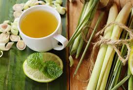 ed lemongr tea good for health