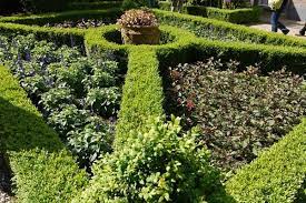 Formal Garden Design Plants For A