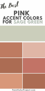 the best colors that go with sage green