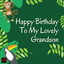 Celebrating the day we came into this world? Birthday Wishes For Grandson Happy Birthday Grandson