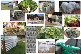 raised garden bed from crowea gardening