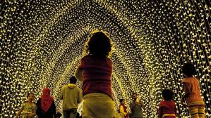 the best christmas light displays and