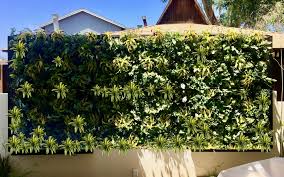 Beautiful Exterior Living Wall System