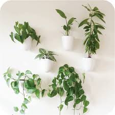 Best Wall Planters 7 Wall Planters