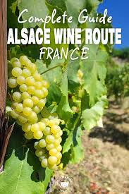 alsace wine route the complete guide