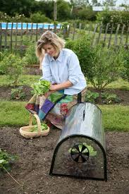 haxnicks kitchen garden cloche