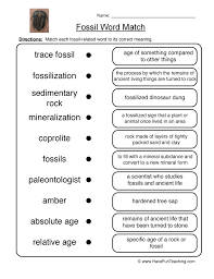This fun yet educational printable science worksheet on fossils is completely free to print and use. Fossil Definitions Worksheet Have Fun Teaching