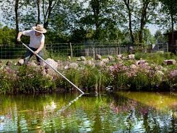 Garden Pond Cleaning - Tips & Advice For Outdoor Pond Cleaning