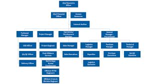 Organizational Chart Platinum Samandy