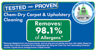 carpet cleaning in chesapeake