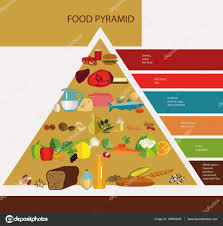 Chart Of Food Pyramid Stock Vector Alfaolga 145602045