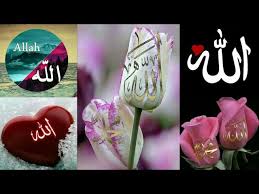 And to allah belong the best names, so invoke him by them. Allah Name Dp Allah Name Dp For Whatsapp Allah Dp Photo Allah Dp Pic Allah Dp Dpz Islamic Dpz Youtube