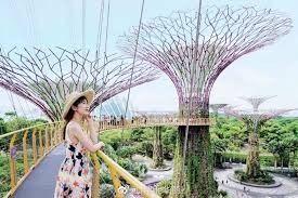 gardens by the bay tickets tourist guide