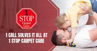 carpet cleaning repair in novi mi