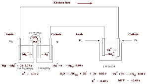 Redox Half Reactions And Reactions Ws 1