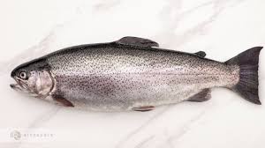 steelhead trout