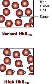blood sugar hb a1c conversion chart