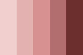 makeup color palette