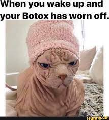 botox memes best collection of funny