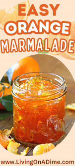 homemade easy orange marmalade recipe