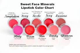 Lipstick Kit Lipkit Mineral Makeup Lip Gloss Liner Long Lasting Waterproof Bare Skin Cover