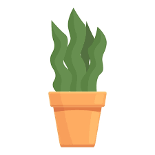 Succulent Plant Pot Icon Cartoon Vector