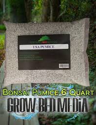 growing a bonsai pumice 6 quarts