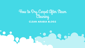 how to dry carpet after steam cleaning