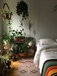 how to grow houseplants in a room with