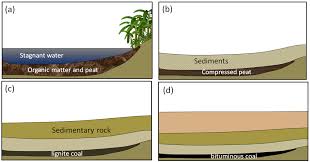 20 3 Fossil Fuels Physical Geology