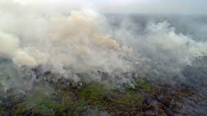 Macam 2 yg berlaku di indonesia termasuk fenomena awan berwarna merah. Indonesia Perlu Ambil Iktibar Henti Punca Jerebu