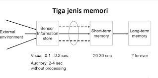 Hasil gambar untuk gambar memori  interaksi manusia dan komputer