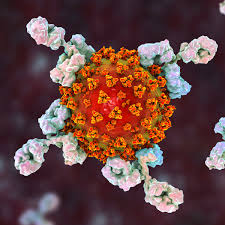 Maybe you would like to learn more about one of these? Coronavirus Is Evolving But So Are Our Antibodies