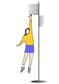 vertical jump test