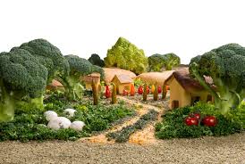 Eco Friendly Vegetable Garden