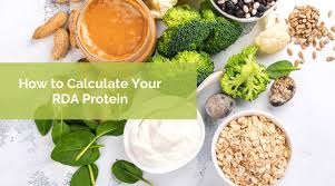 how to calculate your rda for protein