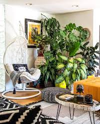 indoor plant design tips how to style