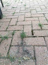 Removing Moss Between Your Brick Pavers