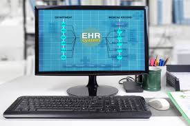 Ehr Data Modeling Report Writing Palmetto Solutions