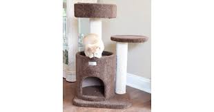 small cat condo with bed perch