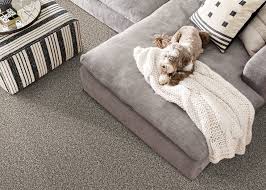 shaw east river jet texture carpet with
