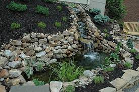 How To Build A Water Garden With A