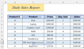 daily activity report in excel