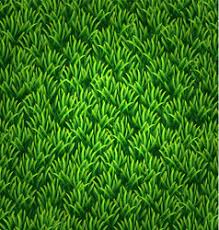carpet texture green vector images